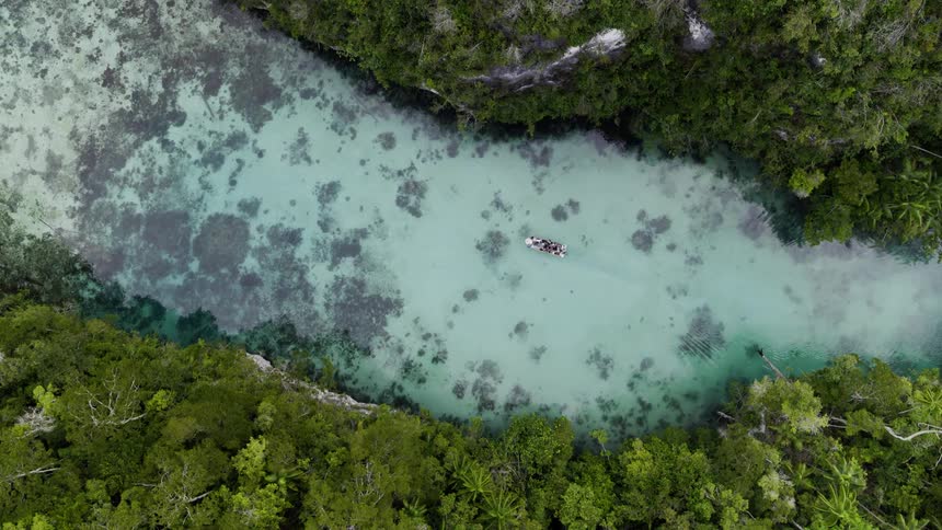 Shot straight down to a river with milky water and vegetation all around