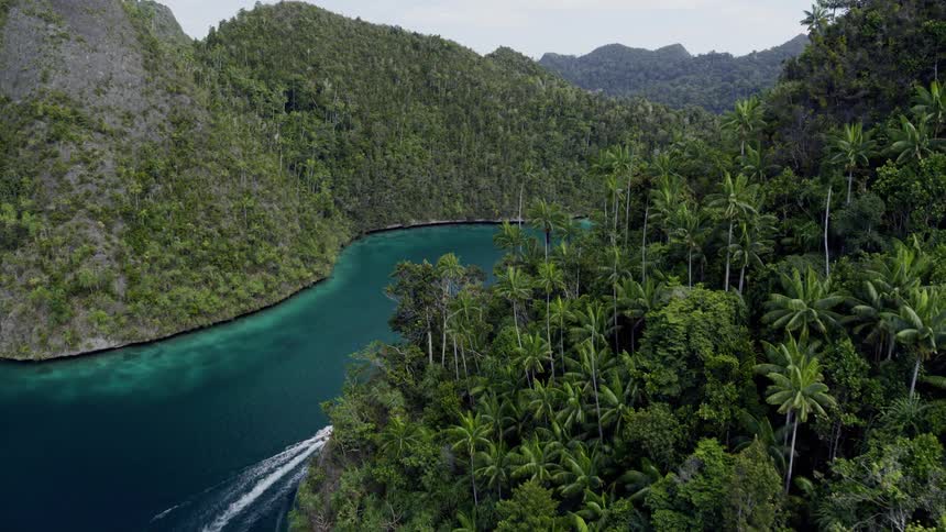 An aerial view of a boat floating by a tropical island in the daytime
