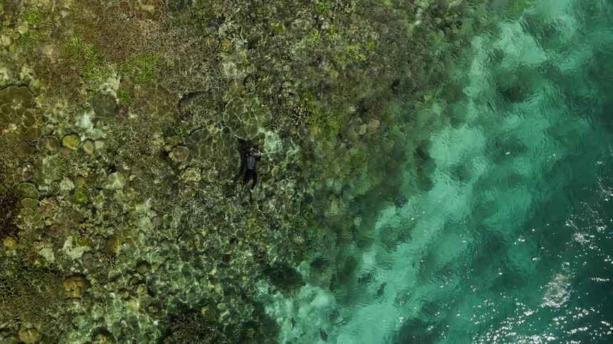 Human scuba diving underwater