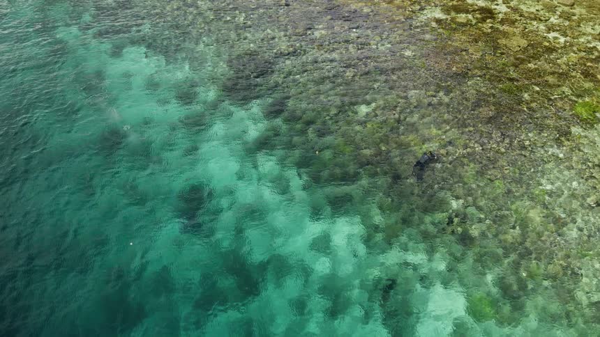 Clear water with a reef underneath next to shoreline