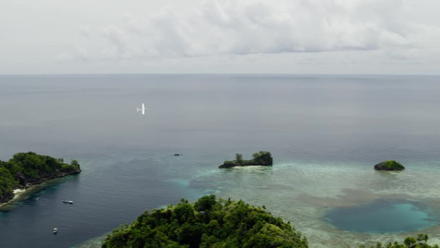 A tropical landscape is displayed