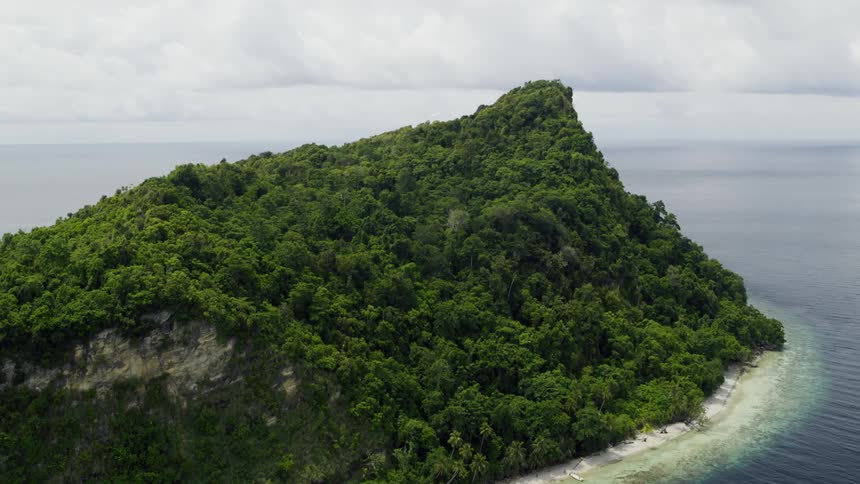Aerial shot of island with shoreline overcast skies and a bird flying over the island