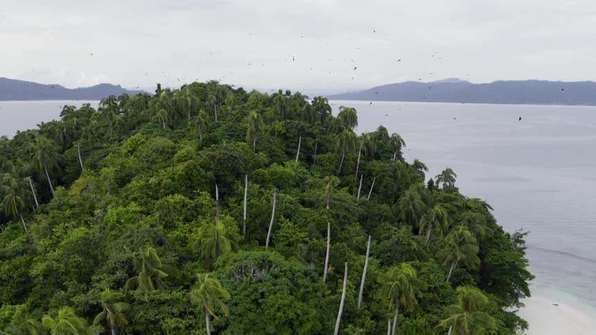 Island full of trees and bushes surrounded by ocean