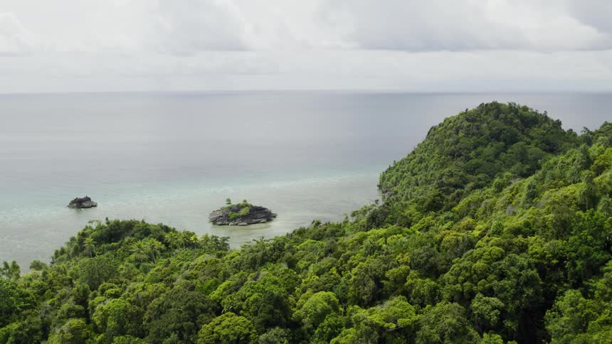 A coast with trees with the ocean the sky and clouds in the background