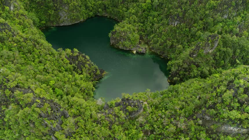 Lush tropical islands surrounded by water in the daytime