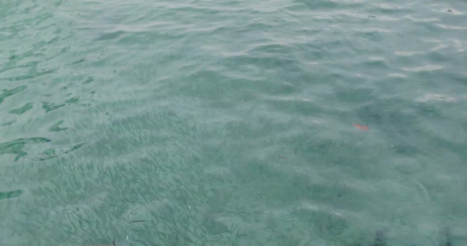 A child tries to reel a fishing line and lure back in by hand