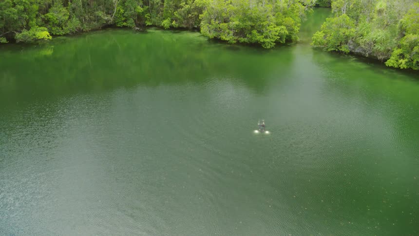 A man snorkeling with jellyfish in a lake with forest behind