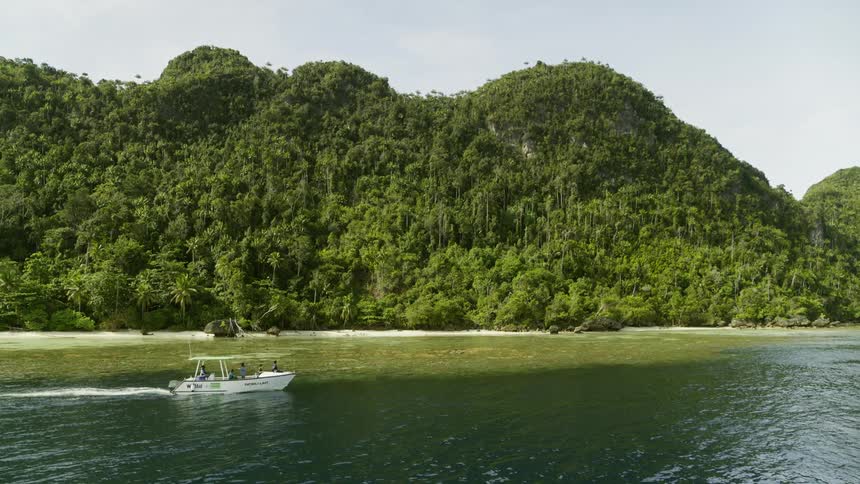 A boat floating by a tropical beach in the daytime
