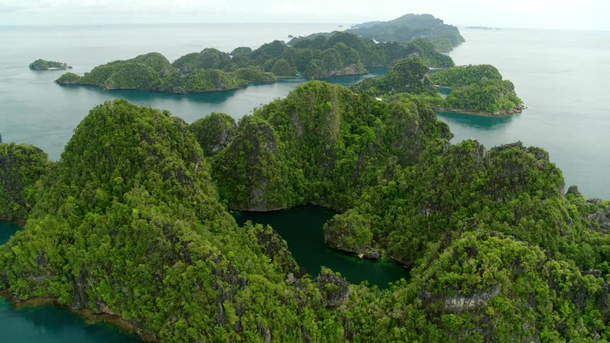 Aerial view of trees are displayed on an island