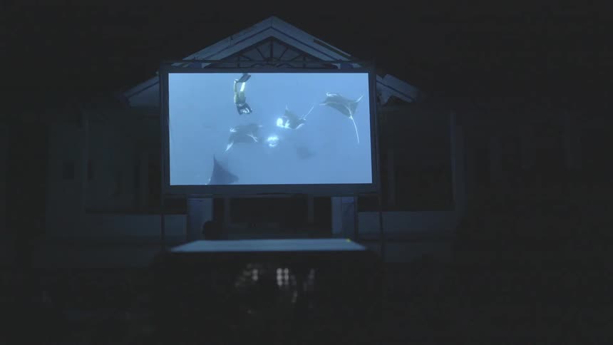 A large crowd watches a projected film outdoors