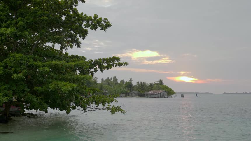 Building at the edge of a forest with ocean surrounding it