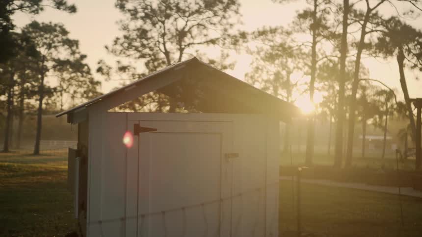 A white shed enclosed with a fence outside with trees in the background at sunset