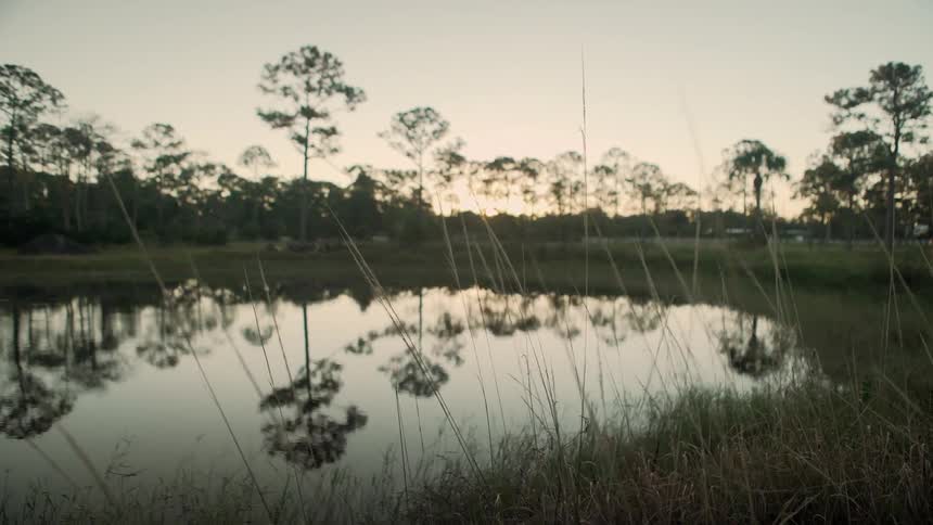 The pond is still at sunrise