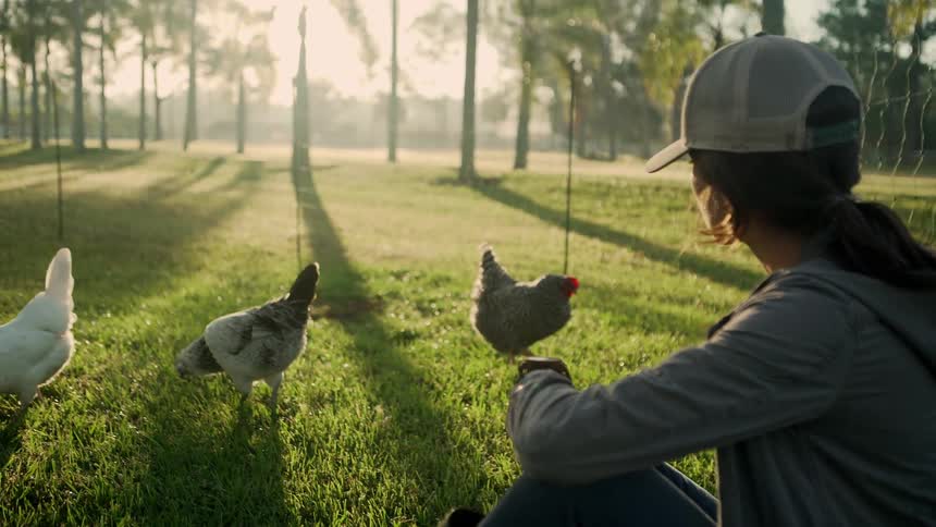Woman sitting in a pen with chickens during the day