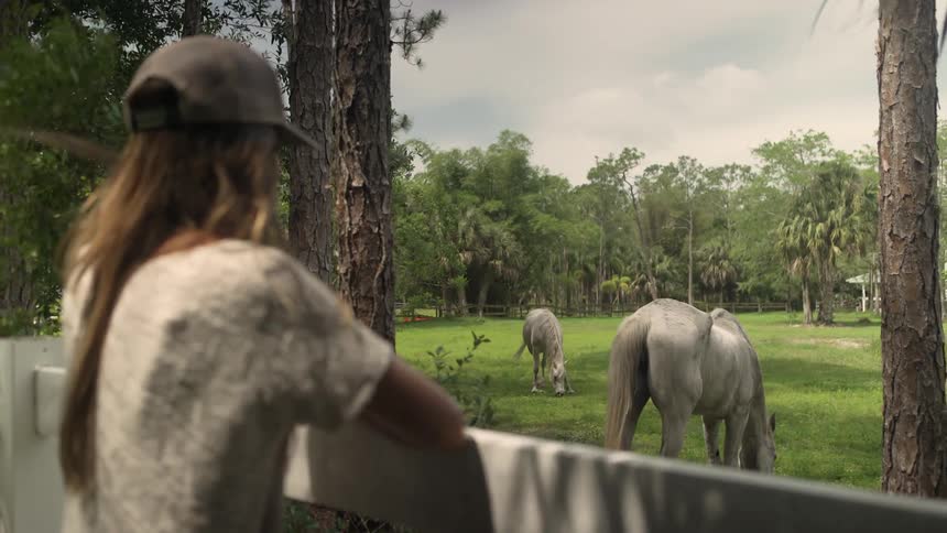 A woman stands and leans on a farm fence looking at horses in a pasture