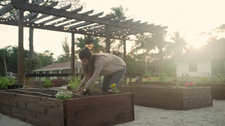 Woman tending to a garden in a backyard and potting new plants