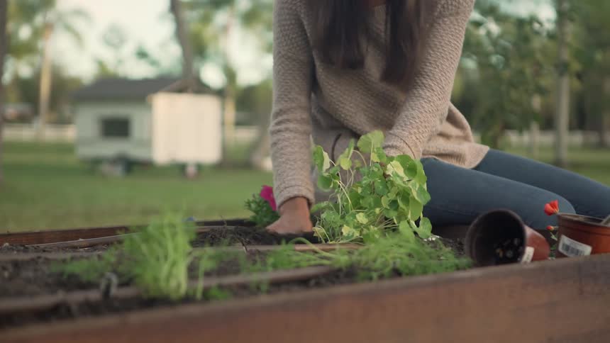 A woman with a sweater and a wristwatch planting a plant with trees the sky and clouds in the background