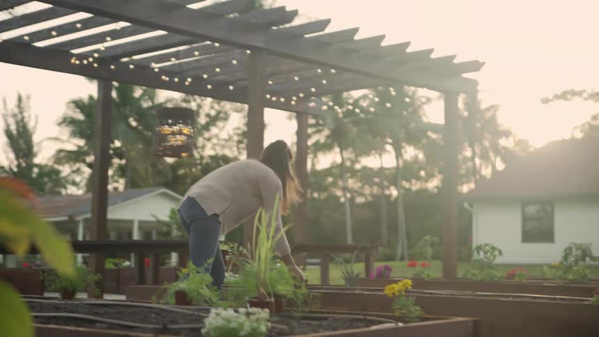 A woman works in her garden moving potted plants from one area to another