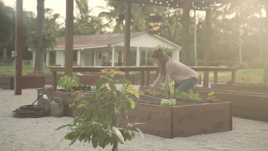 Young woman wearing a long sleeved sweater and jeans is sitting outside while gardening plants on raised beds