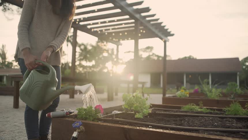 A woman is watering her plants outside