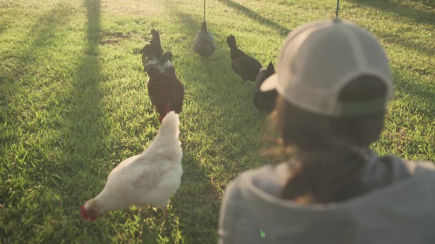 A woman kneels down beside a group of chickens in a farm style fence