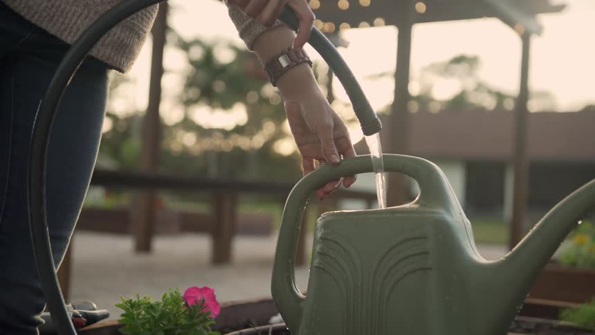 Woman standing in a backyard garden holding water hose and filling a watering pail