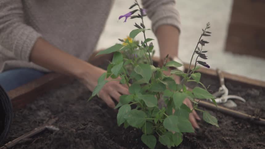 A woman carefully places a plant in the soil inside of a planter