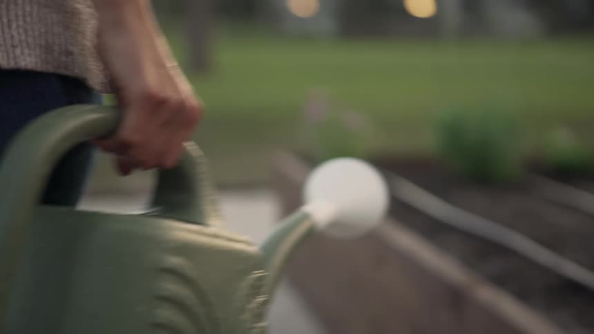 Woman carries a watering pail over to a small garden and waters plants
