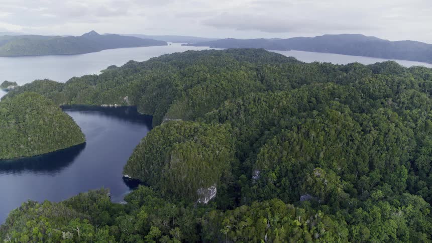 An aerial view of a river flowing through land covered with trees in nature
