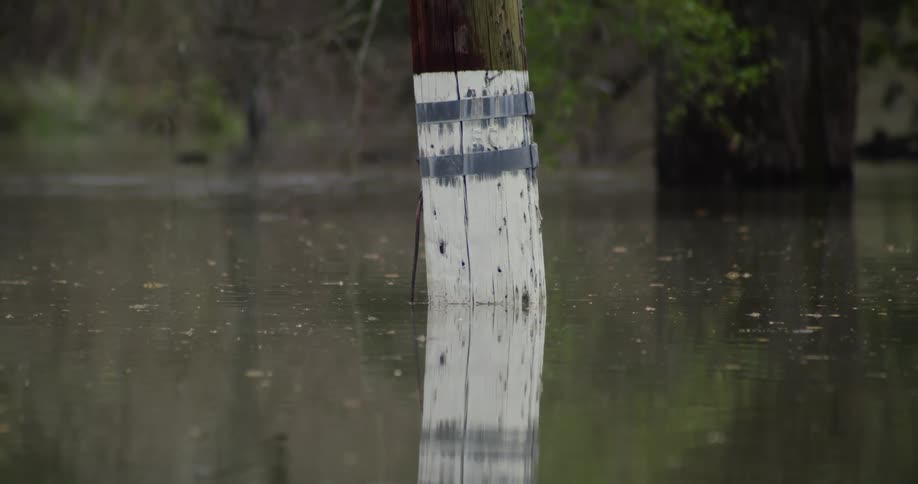 A telephone pole is in the midst of a flooded area with murky waters