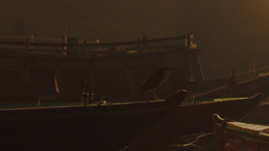 A bird perched on a boat on a dock with water in the background