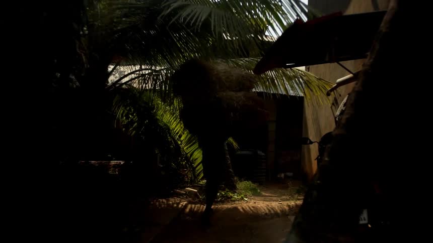 Man carrying a stack of organic materials through a village alleyway