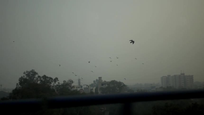 A flock of birds flying in the sky with trees buildings the sky and clouds in the background
