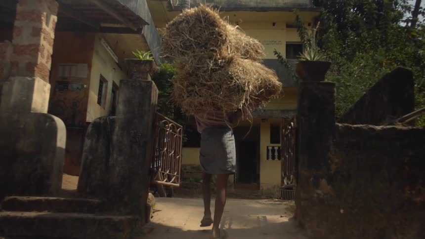 A man carries bushels of hay on his shoulders towards the front exterior of a house during the day