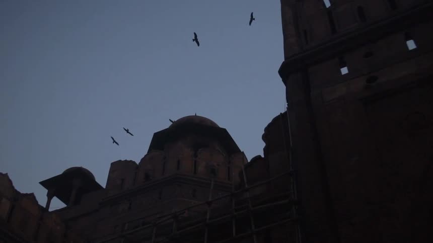 A group of birds glide in the sky over a stone building in the evening