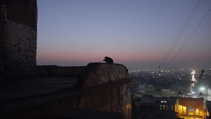 A person sits on a roof of a building overlooking a big city at dusk