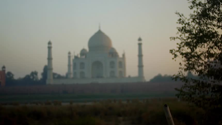 Bird flying off of a pole in front of the taj mahal