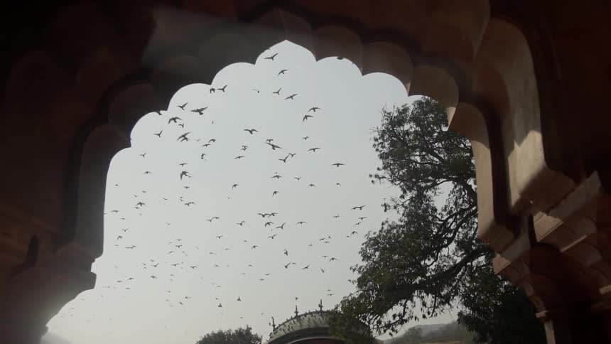 Many birds flying in the sky over a building in daylight over a building