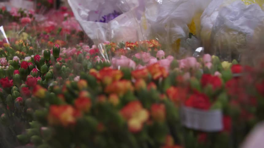 Red orange and pink bouquet of flowers