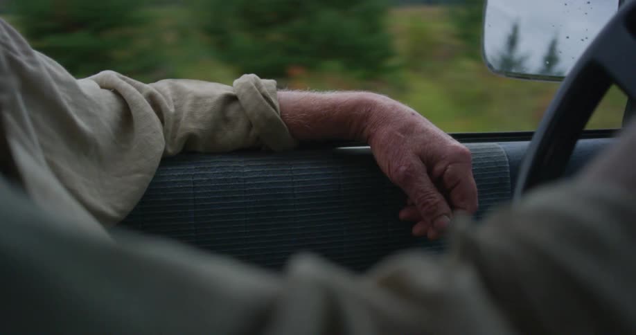 An elderly man is driving a car in spring