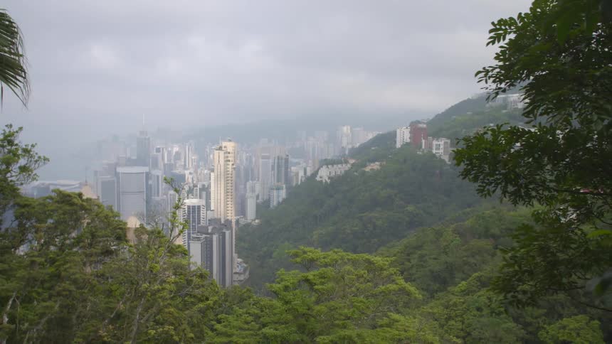 View of downtown from a forest