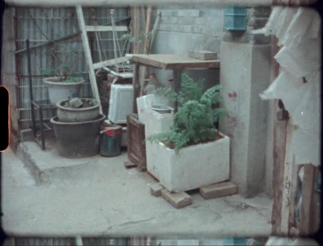 Torn plastic flutters in windy courtyard near potted plants