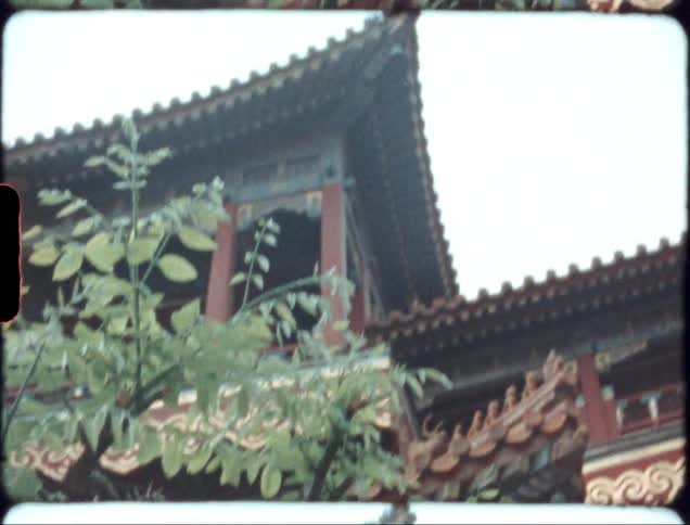 A large bonsai style tree grows in front of a pagoda