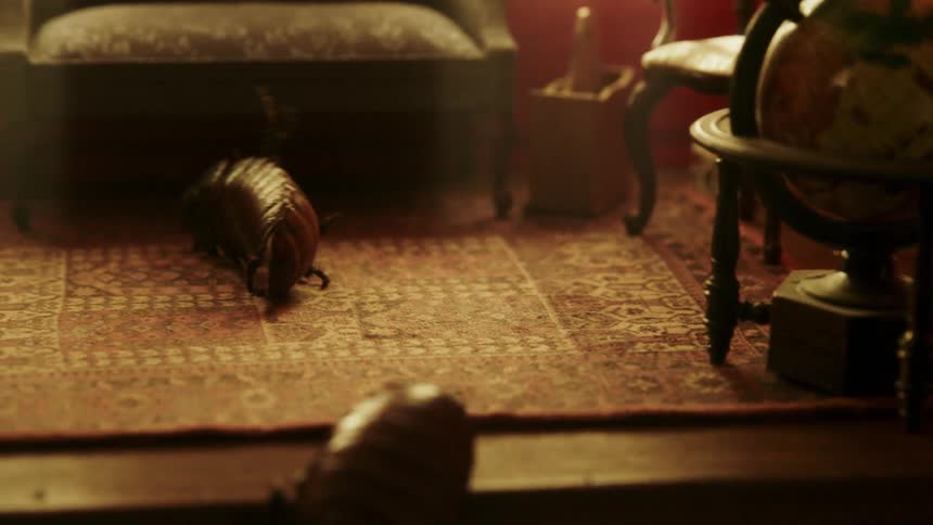 Two roaches crawling on a home decor small setting