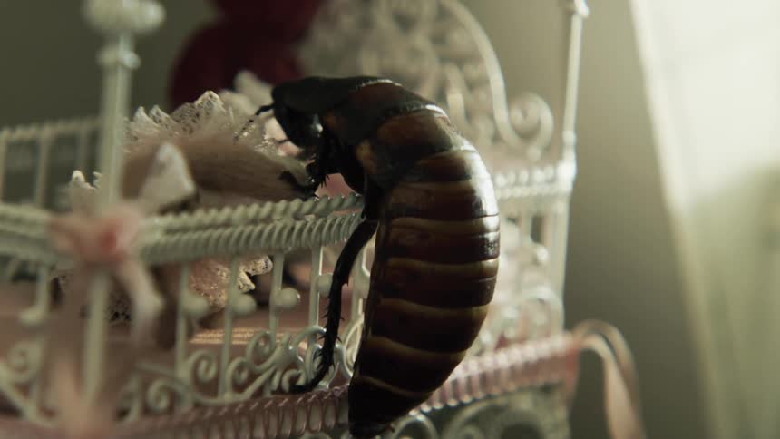 Hissing cockroach climbing into a miniature baby crib in a miniature house