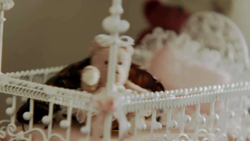 Hissing cockroach climbing into a miniature crib in a dollhouse