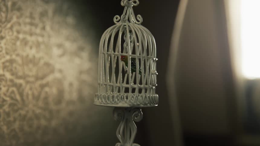 Miniature toy bird in a cage inside of a toy house