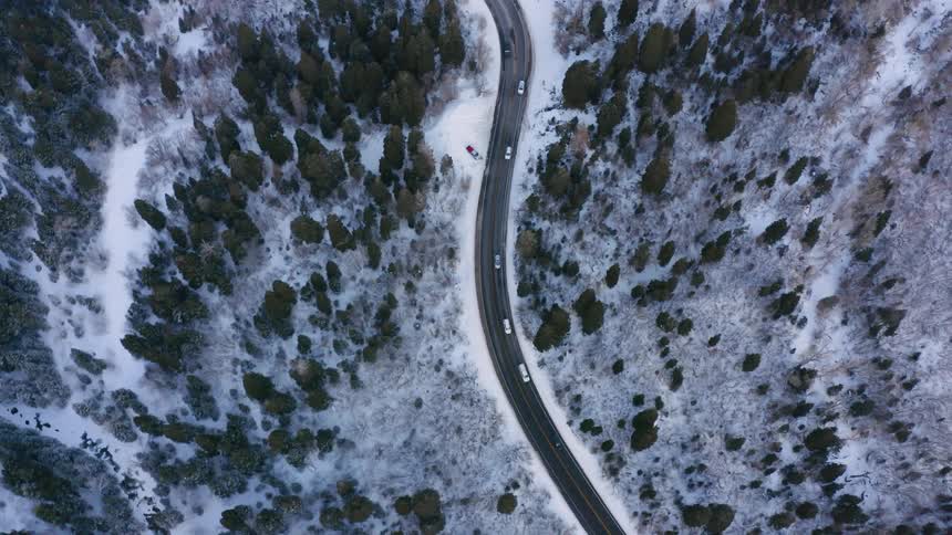 A road with vehicles surrounded by trees grass and snow