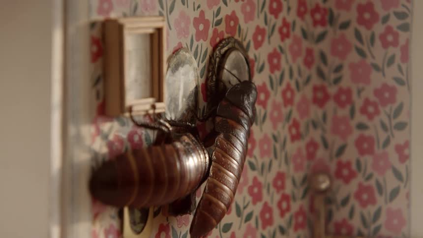Roaches crawling on a wall inside of a miniature room