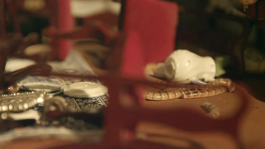 Worm like insects crawling on a floor in a miniature room
